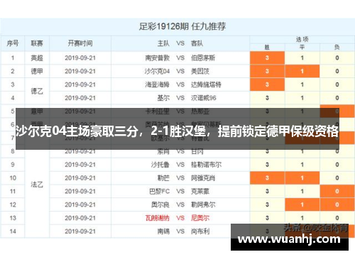 沙尔克04主场豪取三分，2-1胜汉堡，提前锁定德甲保级资格